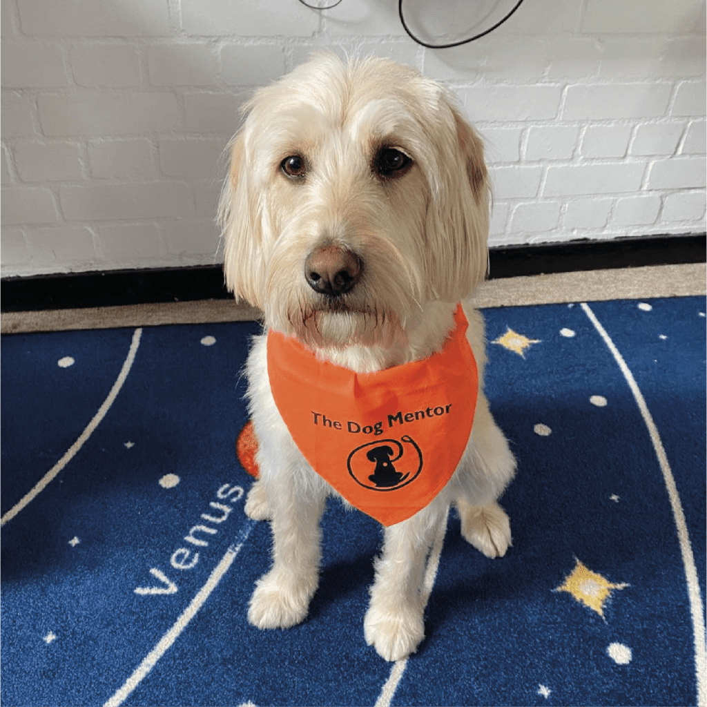 Honey Honey, the dog mentor at horton kirby primary c of e school