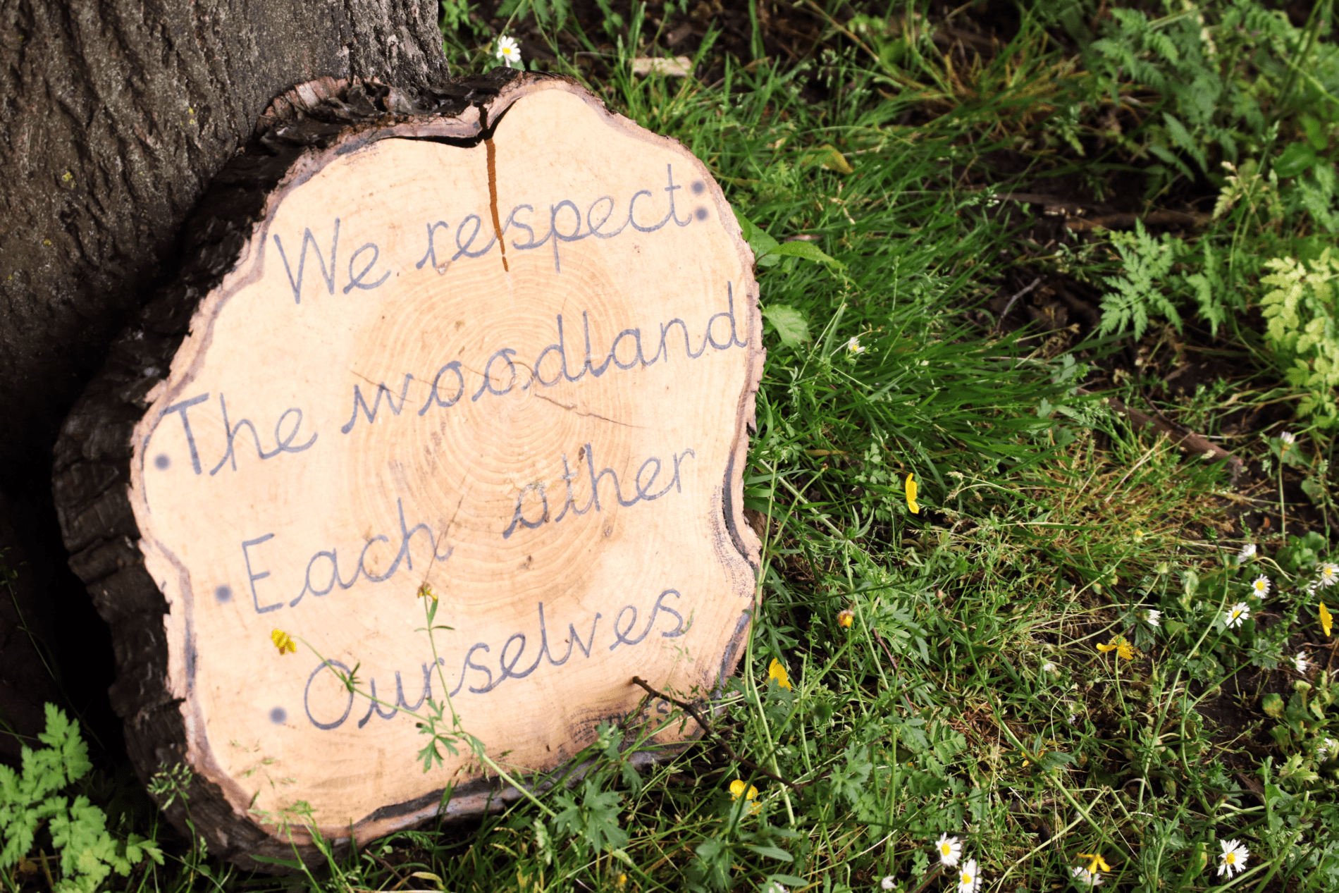 woodland - forest Forest school sign at horton kirby primary school
