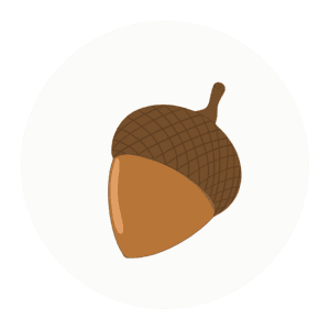 acorn class icon