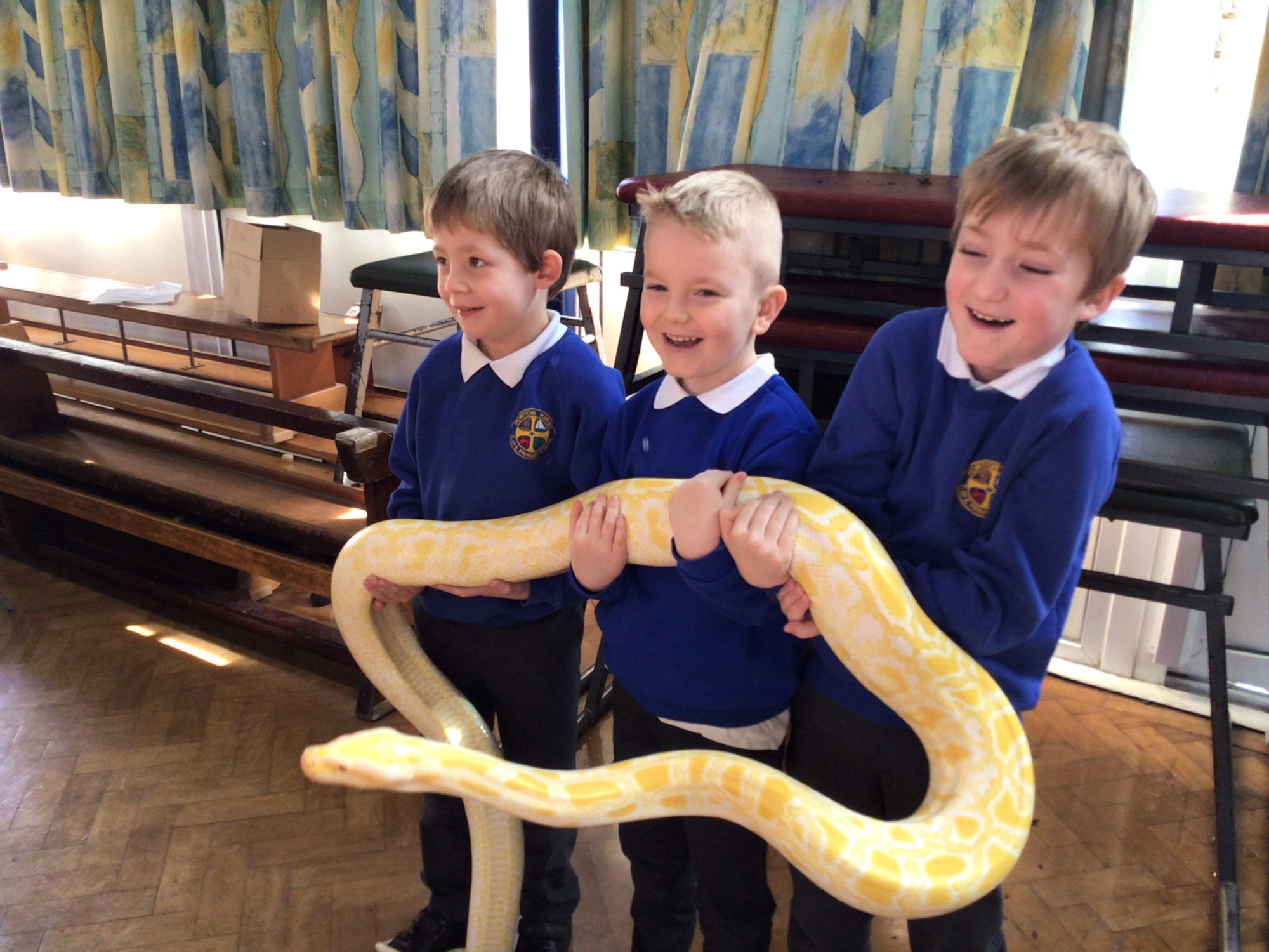 pupils of horton kirby holding a snake as part of clarks critters
